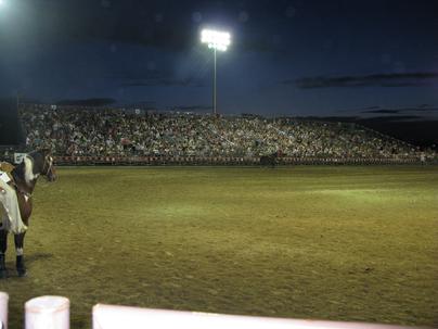 western stampede